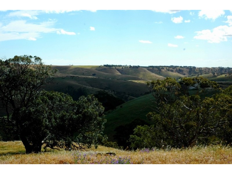 Lots 711-714 Allendale Road, Kalbeeba SA 5118