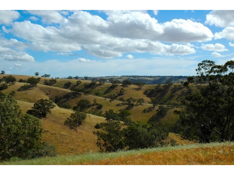 Lots 711-714 Allendale Road, Kalbeeba SA 5118