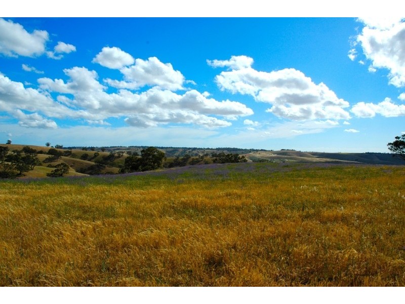 Lots 711-714 Allendale Road, Kalbeeba SA 5118