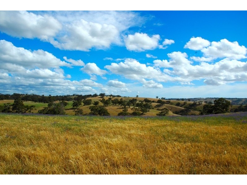 Lots 711-714 Allendale Road, Kalbeeba SA 5118