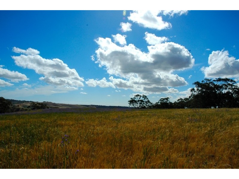 Lots 711-714 Allendale Road, Kalbeeba SA 5118