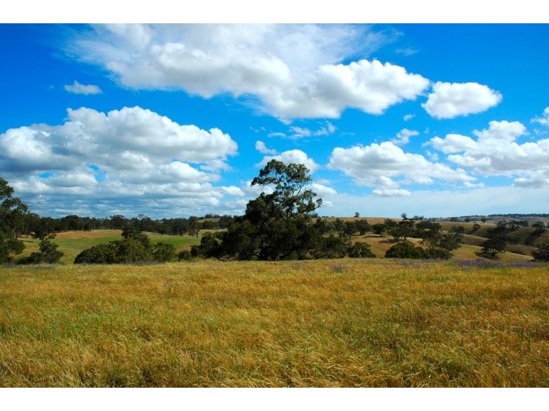 Lots 711-714 Allendale Road, Kalbeeba SA 5118