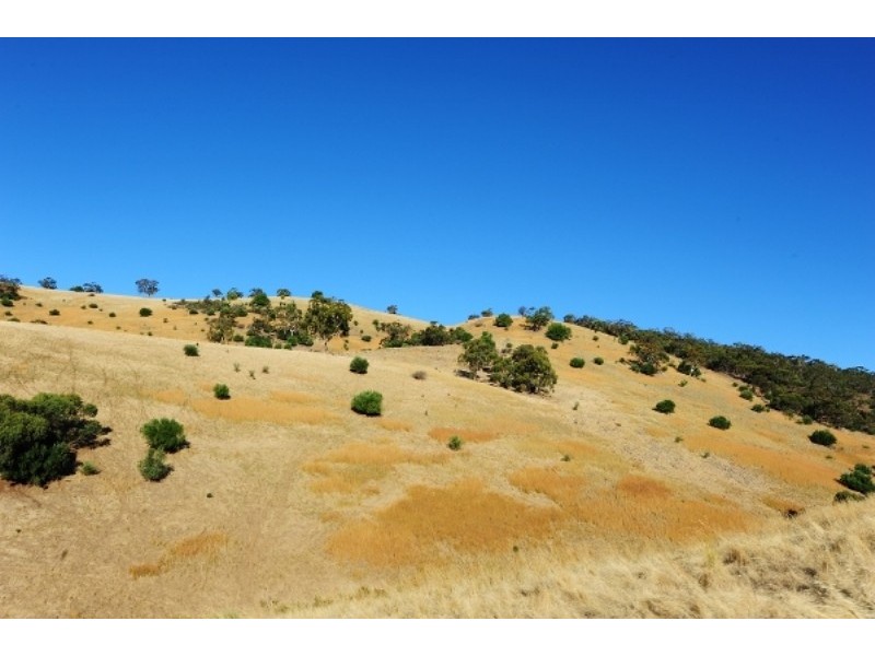 Lots 711-714 Allendale Road, Kalbeeba SA 5118