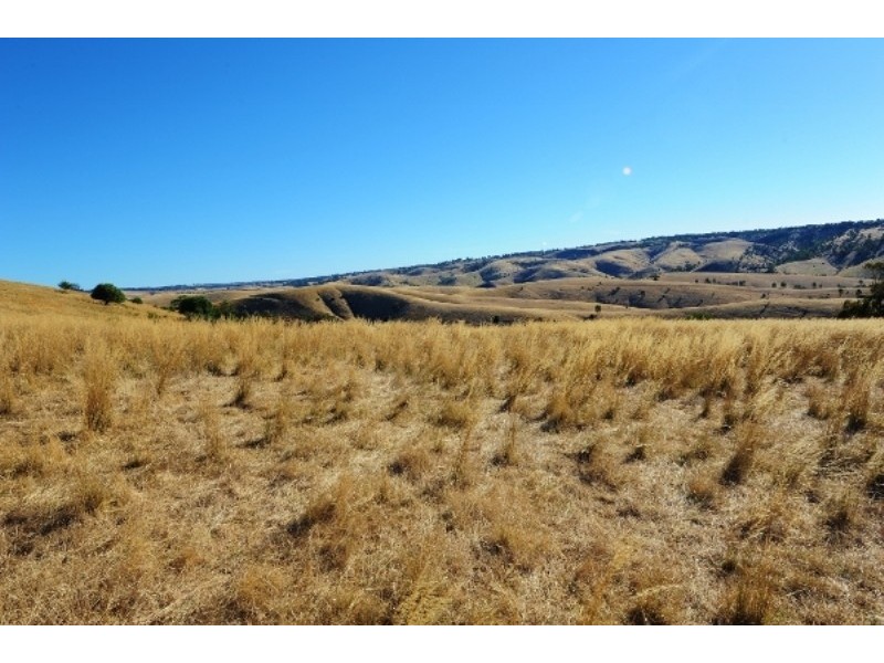 Lots 711-714 Allendale Road, Kalbeeba SA 5118