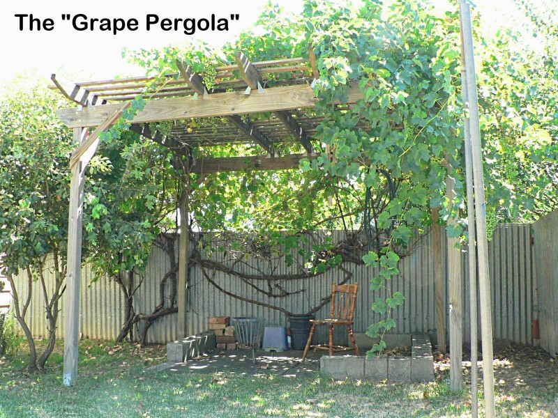7 Grenache Avenue, Modbury SA 5092
