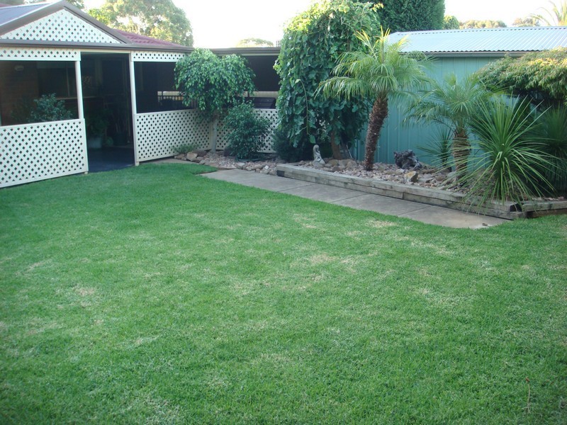 77 Casuarina Avenue, Surrey Downs SA 5126