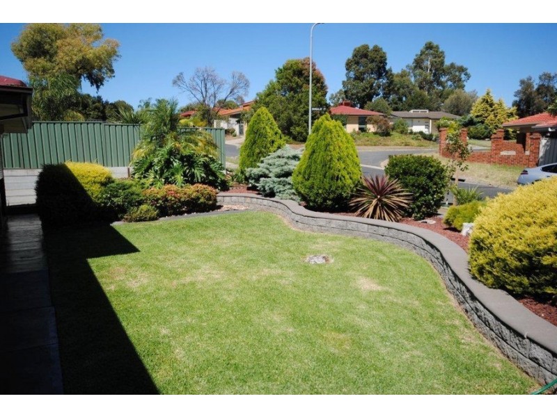 77 Casuarina Avenue, Surrey Downs SA 5126