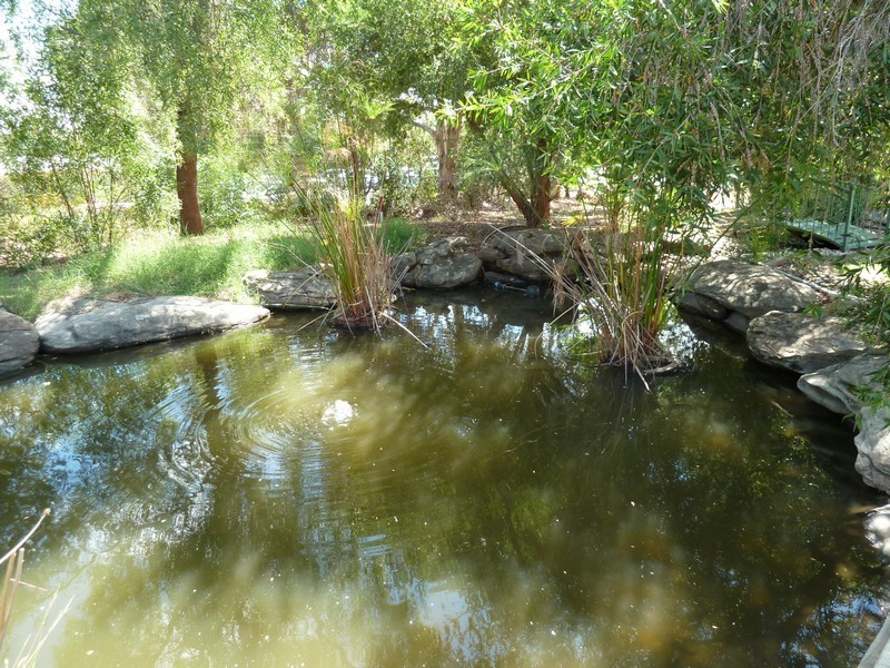 Unit 17/21 Hutchinson Road, Gawler East SA 5118