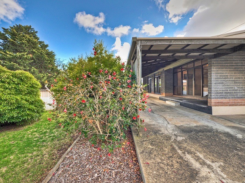 3 Ryan Avenue, Athelstone SA 5076