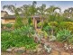 100 Haines Road, Banksia Park SA 5091