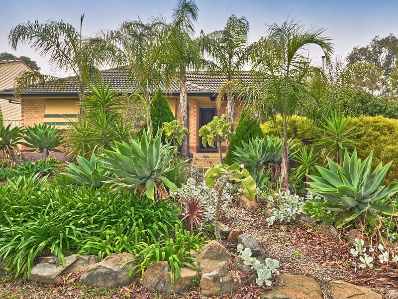 100 Haines Road, Banksia Park SA 5091