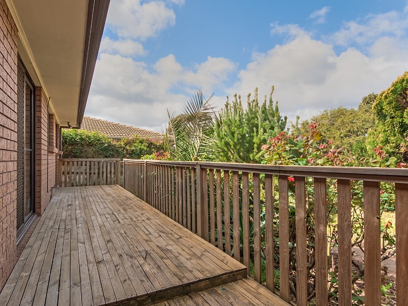 29 Carole Crescent, Modbury SA 5092