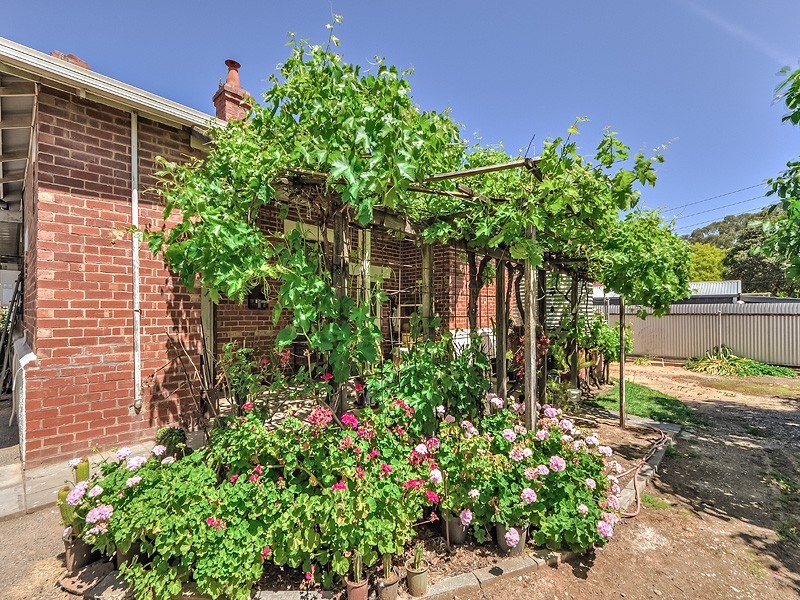 215 Kensington Road, Kensington SA 5068