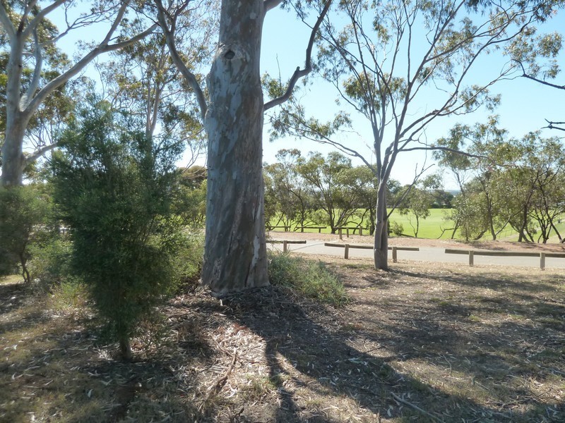 10 Fairway Street, Para Hills SA 5096