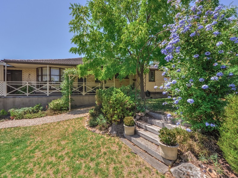 5 Snead Crescent, Fairview Park SA 5126