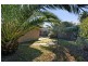 5 Ripon Road, Clarence Park SA 5034