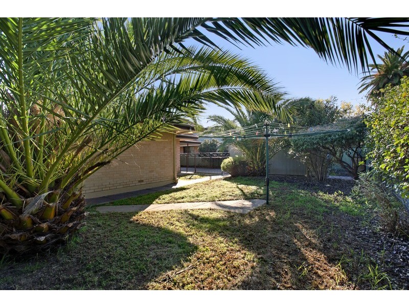 5 Ripon Road, Clarence Park SA 5034
