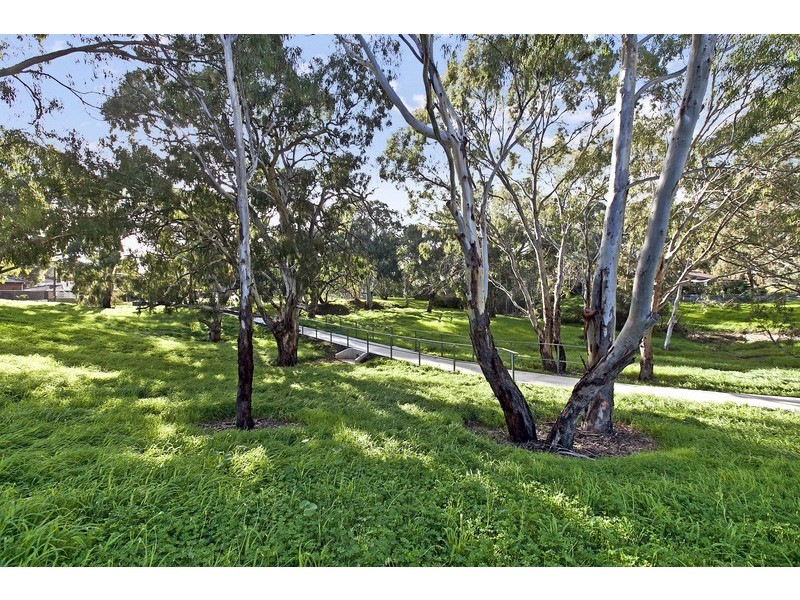 1 Ian Court, Modbury SA 5092