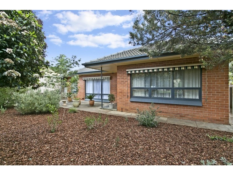 6 Henry Street, Modbury SA 5092