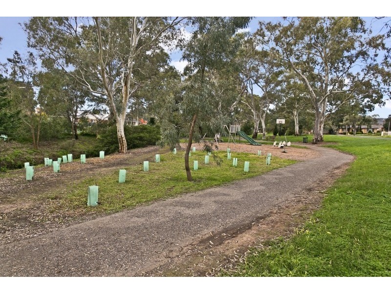 6 Henry Street, Modbury SA 5092