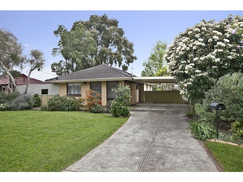 6 Welloch Street, Modbury SA 5092