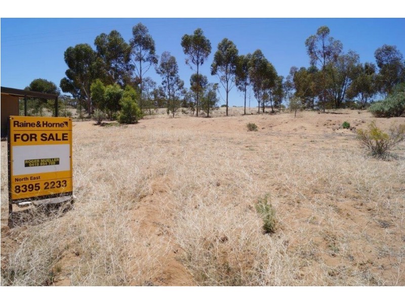 Lot 9 Apold Court, Murbko SA 5320