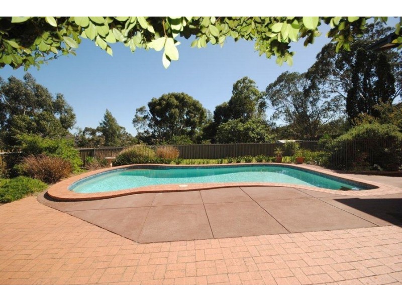 86 Whiting Road, St Agnes SA 5097