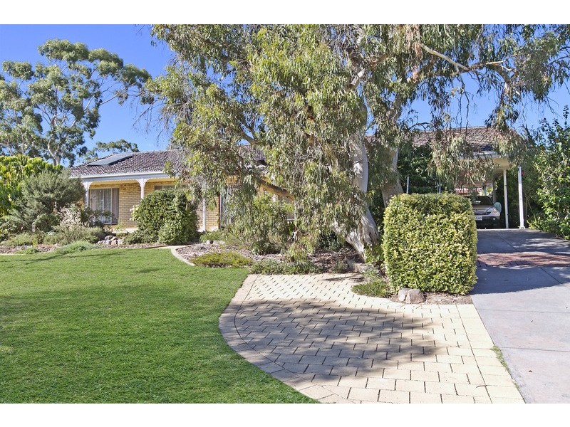 447 Grenfell Road, Banksia Park SA 5091