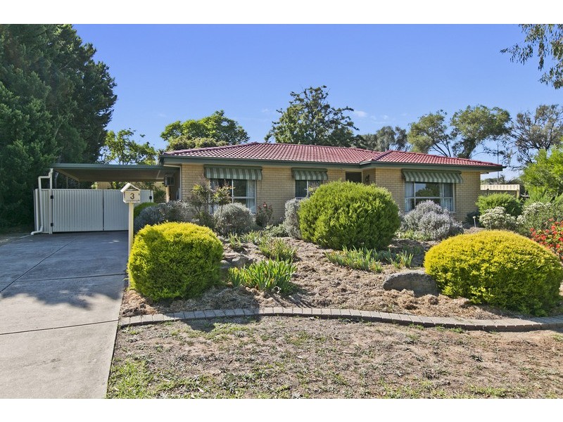 3 Park Lake Drive, Wynn Vale SA 5127