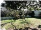 11 The Driveway, Holden Hill SA 5088