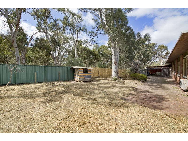 18 Apalie Drive, Modbury SA 5092