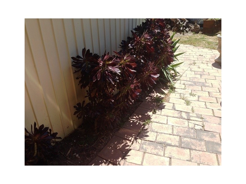 7 Verdelho Street, Wynn Vale SA 5127