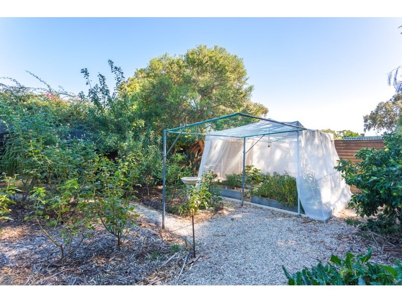 4 Clarence Drive, Athelstone SA 5076