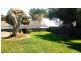 20 Camelia Street, Tea Tree Gully SA 5091
