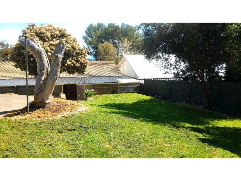 20 Camelia Street, Tea Tree Gully SA 5091