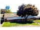 20 Camelia Street, Tea Tree Gully SA 5091