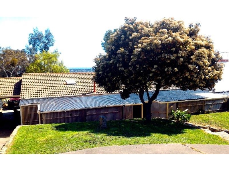 20 Camelia Street, Tea Tree Gully SA 5091