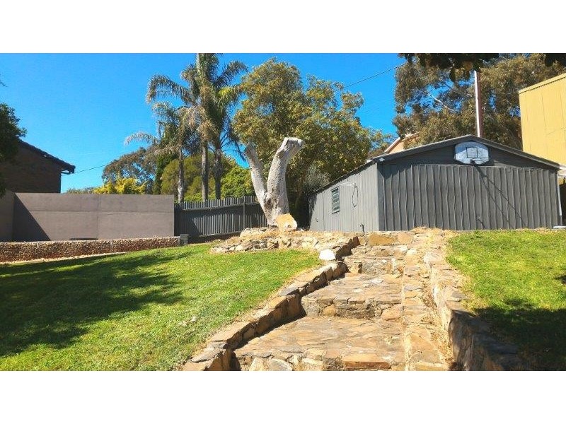 20 Camelia Street, Tea Tree Gully SA 5091