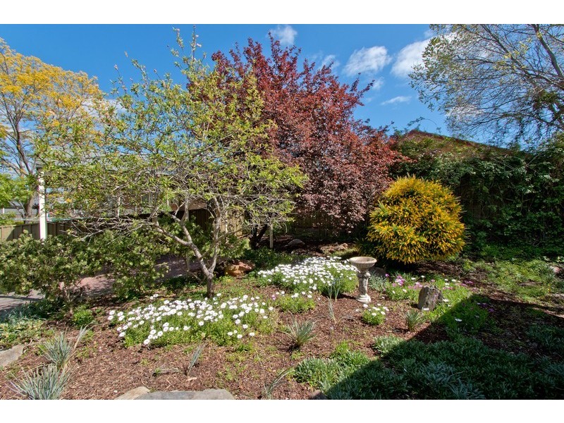 16 Halcyon Avenue, Greenwith SA 5125