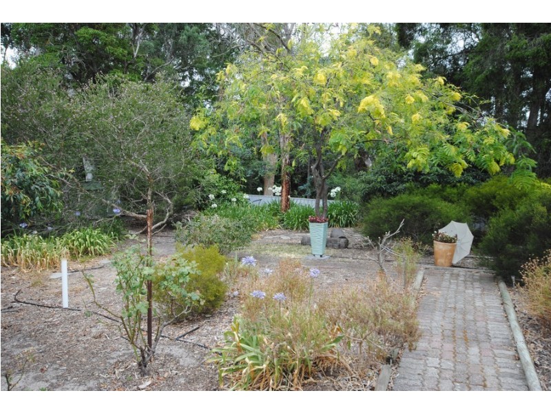 3 Susan Street, St Agnes SA 5097