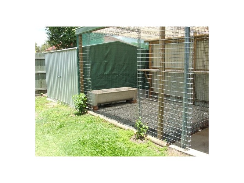 5 Adam Street, One Mile QLD 4305