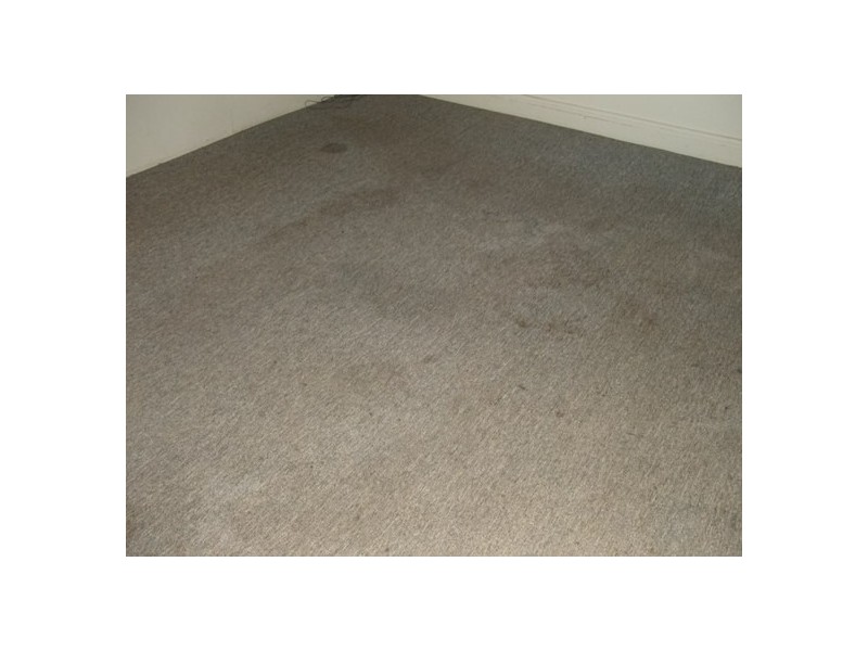 12 Cardew Street, East Ipswich QLD 4305