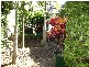 North Ipswich QLD 4305
