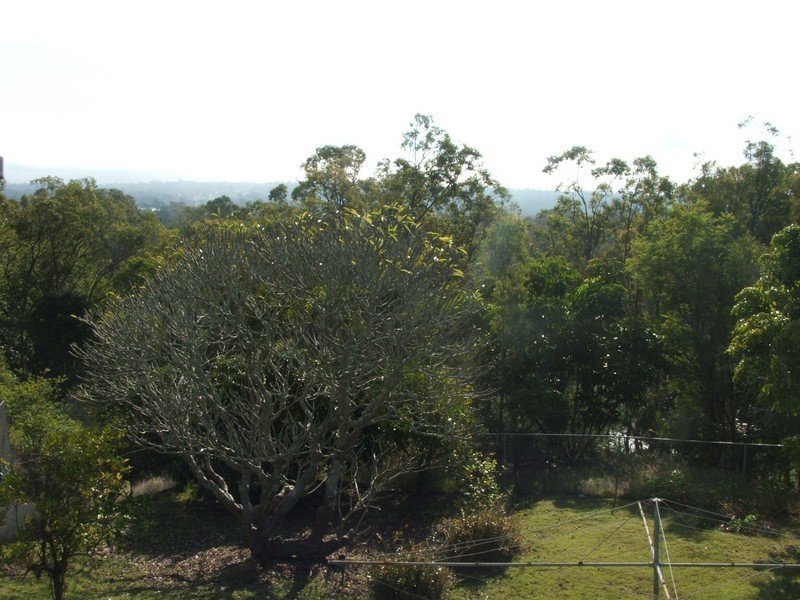 37 Rowland Terrace, Coalfalls QLD 4305