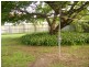 55  Avon Street, Leichhardt QLD 4305