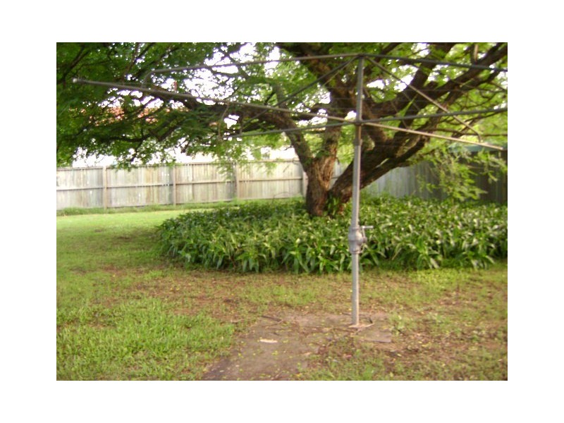 55  Avon Street, Leichhardt QLD 4305