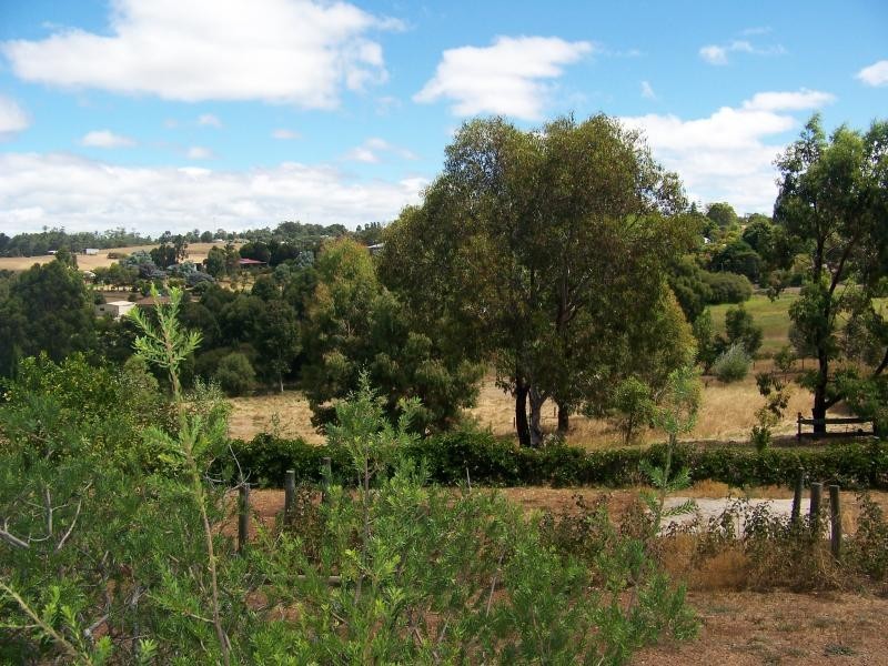 Lot 358 Blackbutt Drive, Manjimup WA 6258