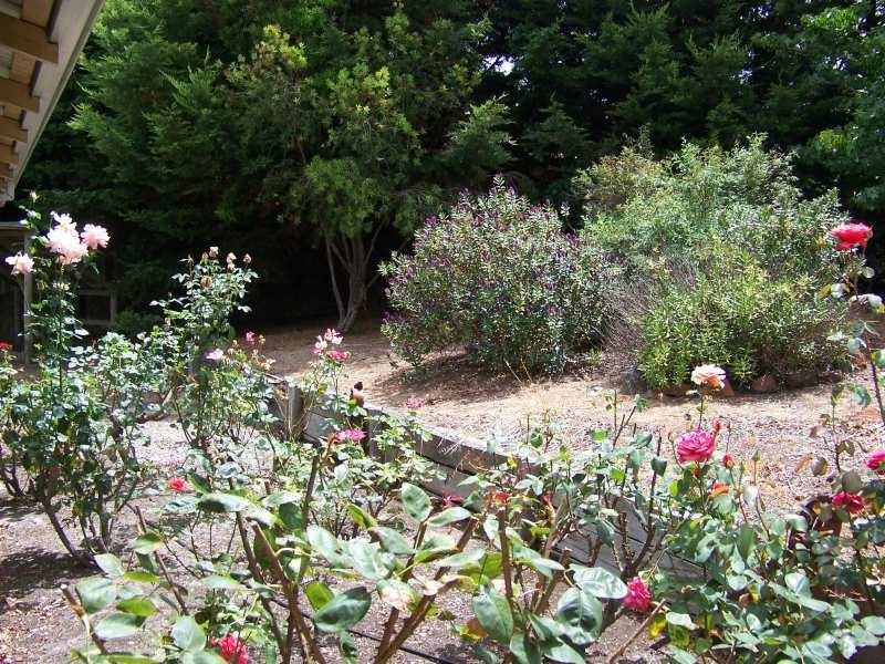 Lot 358 Blackbutt Drive, Manjimup WA 6258