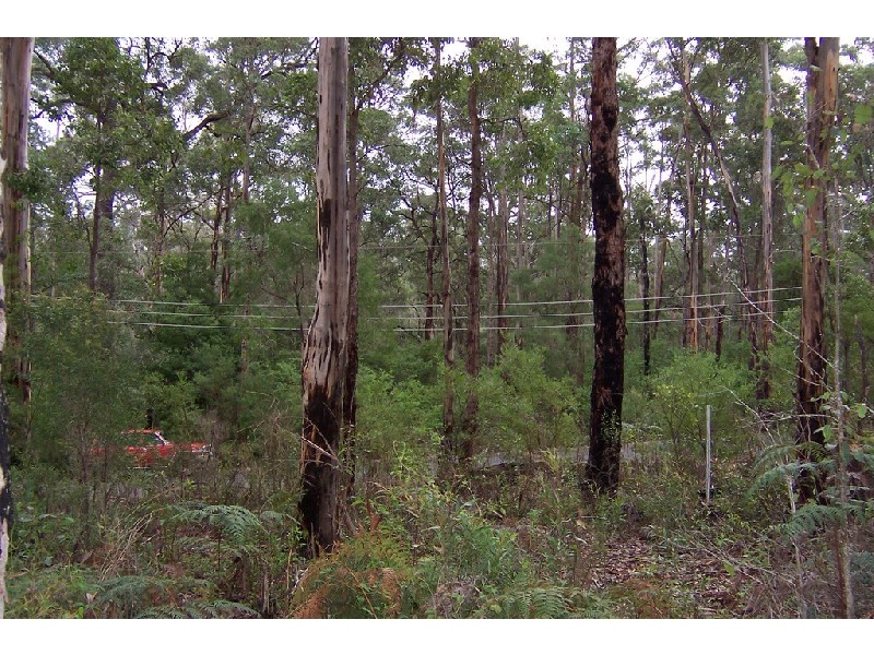 Lot 111 Karri Lane, Quinninup WA 6258