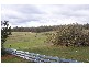 Lot 2 Edwards Road, Manjimup WA 6258
